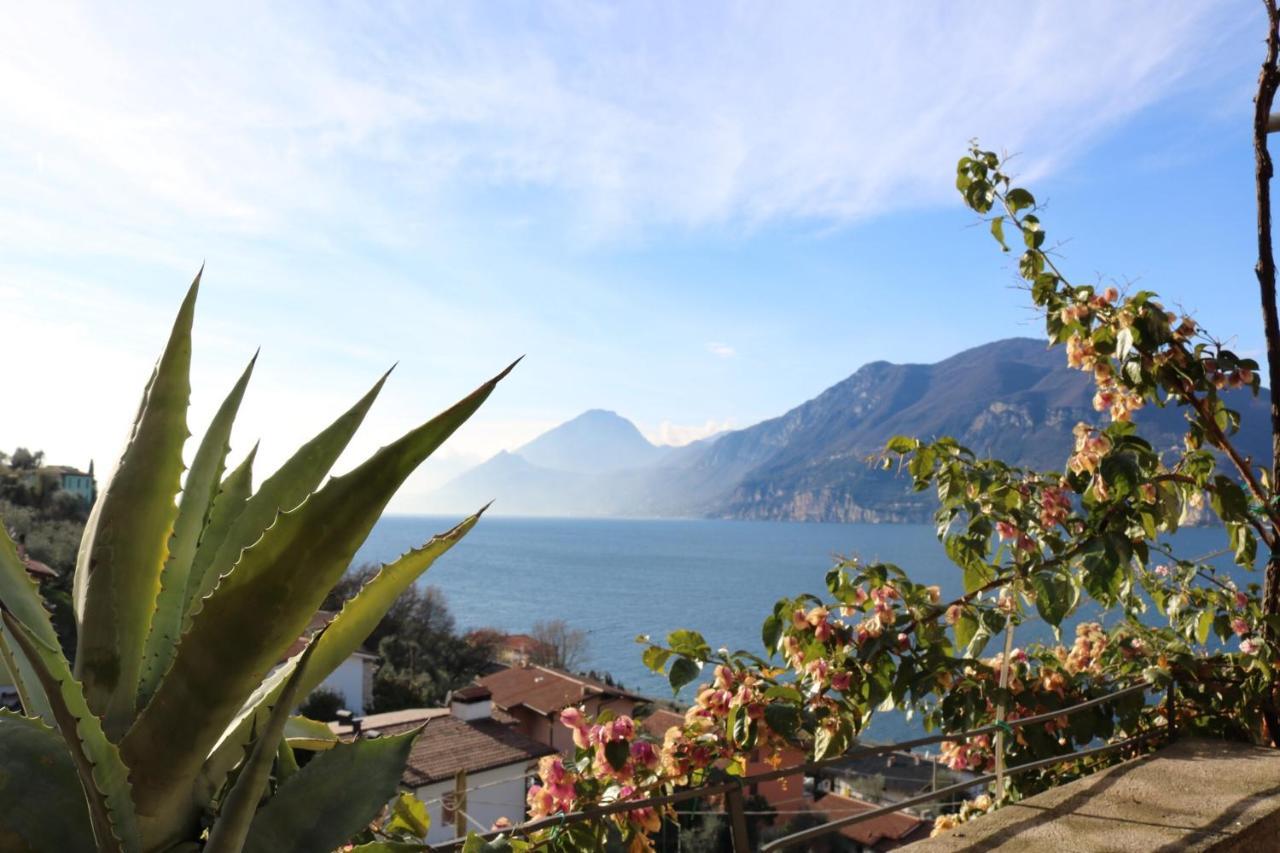 Le Due Terrazze Villa Brenzone sul Garda Luaran gambar