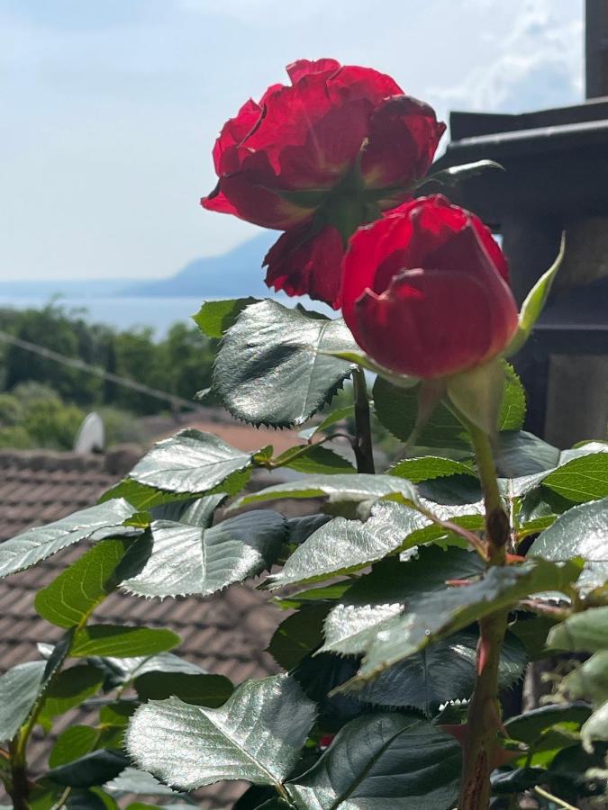 Le Due Terrazze Villa Brenzone sul Garda Luaran gambar