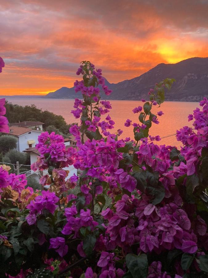 Le Due Terrazze Villa Brenzone sul Garda Luaran gambar